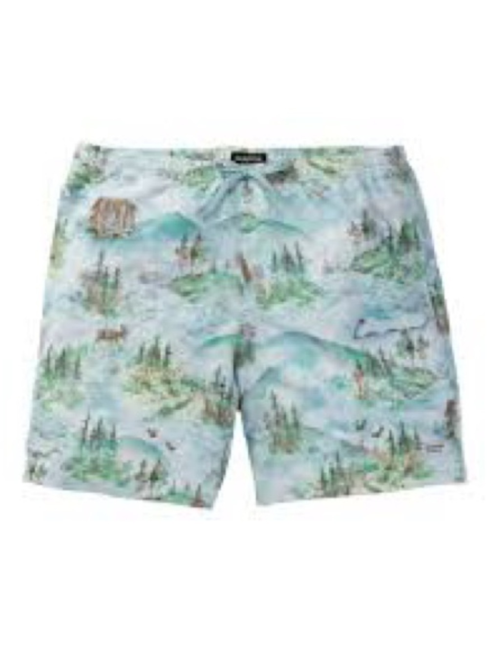 Burton Men's Creekside Green Unlined Swim Trunks Short Size: XL
